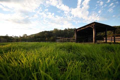 Photo: Cedarspell Spelling And Agistment Farm